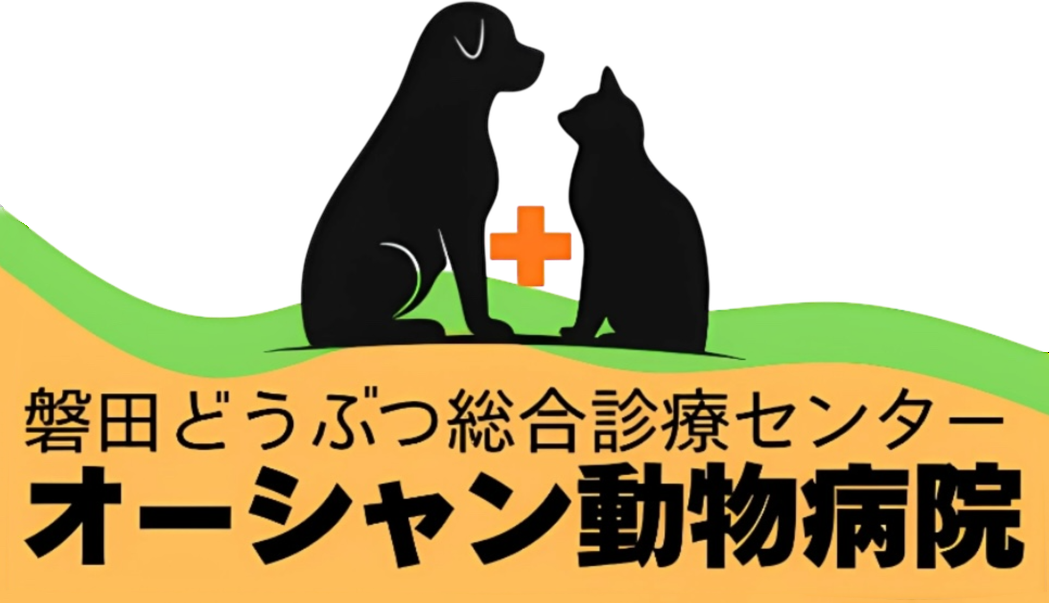 笑顔と思いやりのオーシャン動物病院